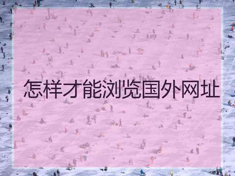 怎样才能浏览国外网址